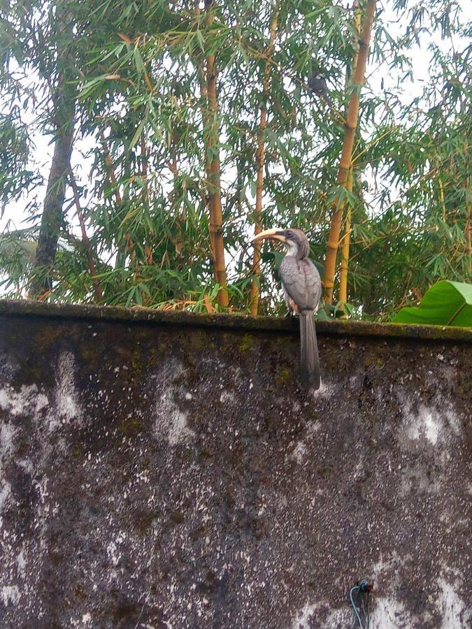 Hotel Rathna Gems Halt Ratnapura Exterior foto